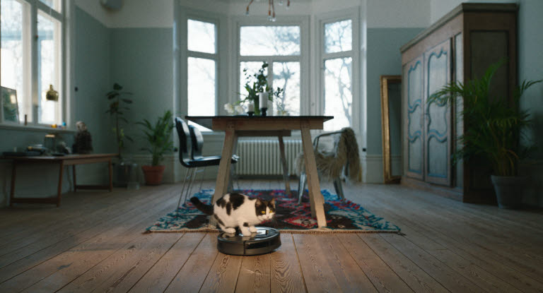 Katze spielt mit Staubsauger